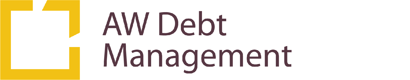 AW Holding Debt Management